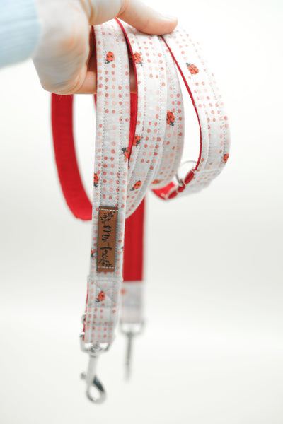 "Lucky Ladybugs" dog leash