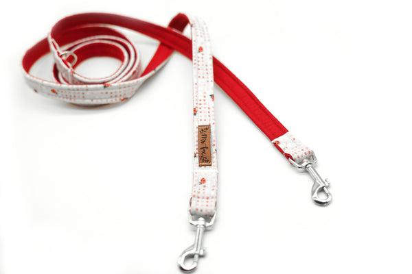 "Lucky Ladybugs" dog leash