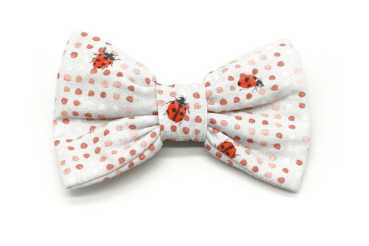 "Lucky Ladybugs" Fliege für Hundehalsbänder - Mr. Fox Hundezubehör