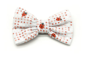"Lucky Ladybugs" bow tie for dog collars