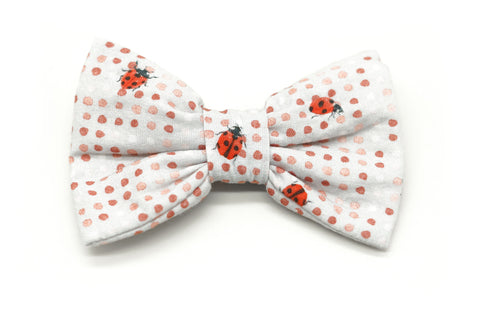 "Lucky Ladybugs" bow tie for dog collars