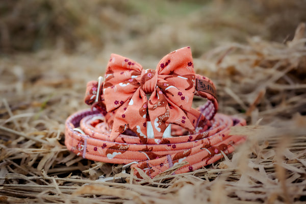 "Floral Fox" Hundeleine