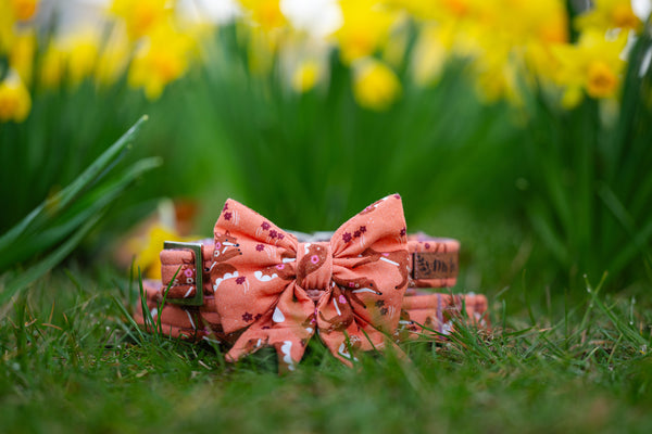 "Floral Fox" Schleife für Hundehalsbänder