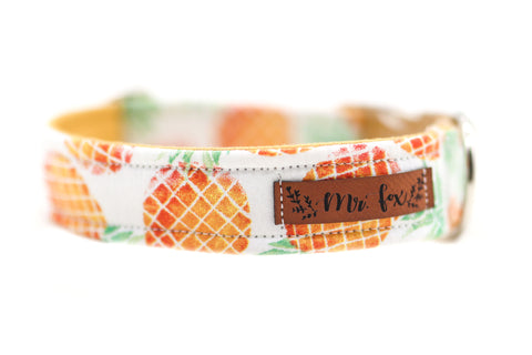 "Playful Pineapples" collar for dogs