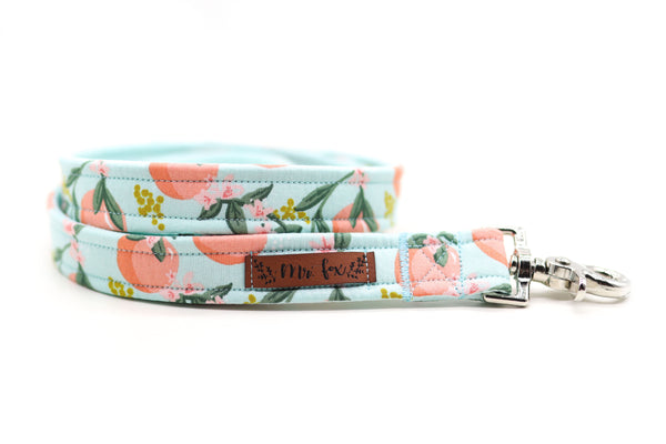 "Perky Peaches" Leash