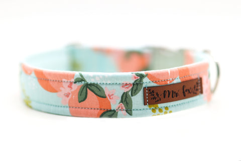 "Perky Peaches" collar for dogs