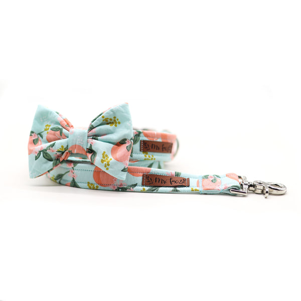 "Perky Peaches" Collar