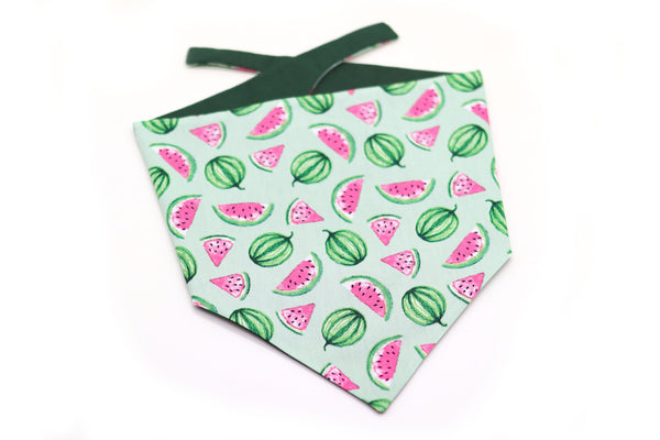 "Mighty Melons" Hundehalstuch