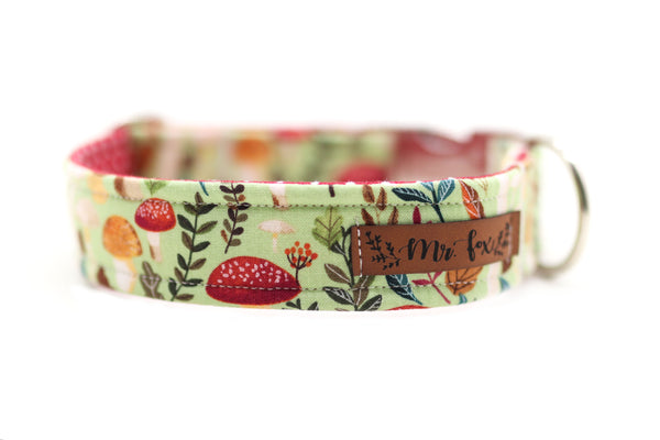 "Happy Harvest" collar for dogs