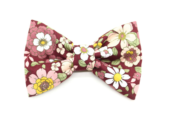 "Burgundy Bloom" bow tie for dog collars