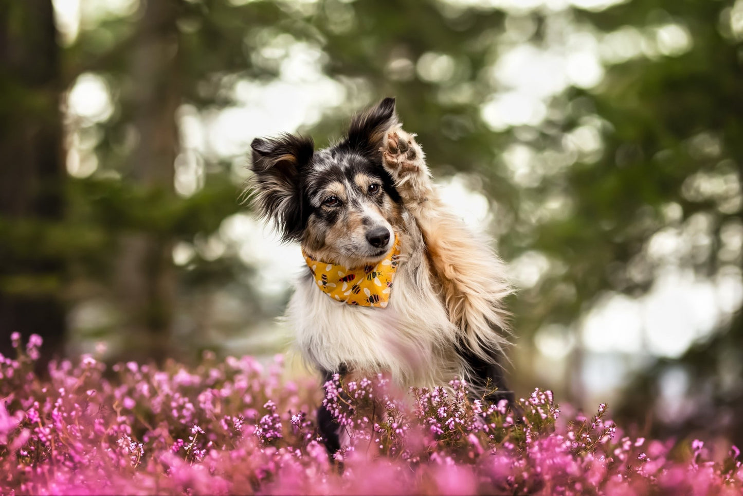 "Bumble Bee" Hundehalstuch - Mr. Fox Hundezubehör