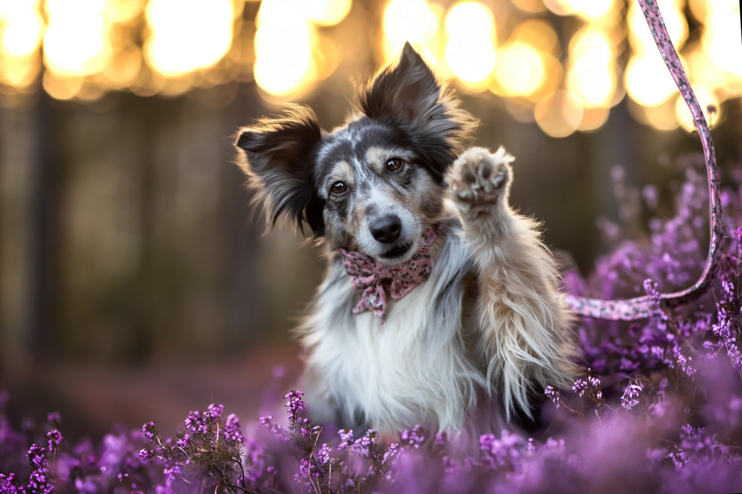 "Fairy Flowers" Schleife für Hundehalsbänder - Mr. Fox Hundezubehör