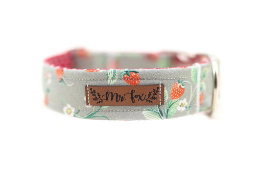"Sweet Strawberries" Halsband für Hunde - Mr. Fox Hundezubehör