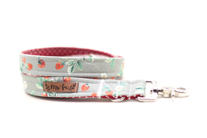 “Sweet Strawberries” dog leash