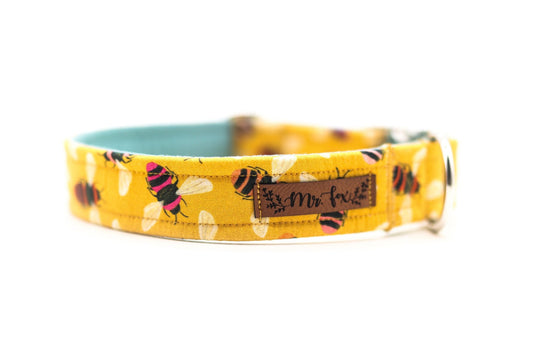 "Bumble Bee" Halsband für Hunde - Mr. Fox Hundezubehör