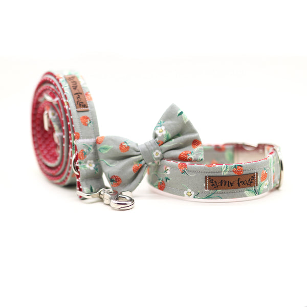 "Sweet Strawberries" collar for dogs