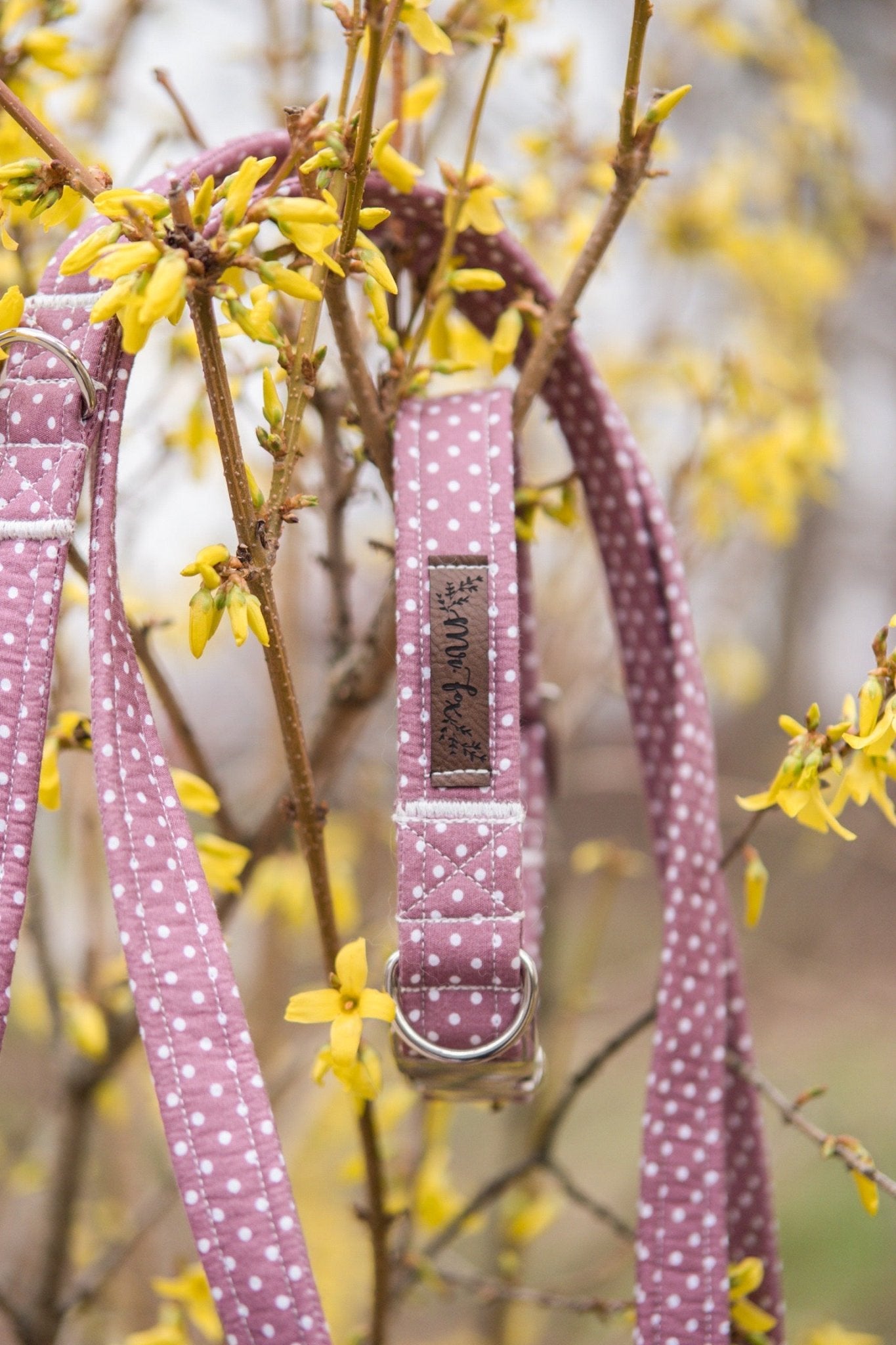 "Mauve Polkadot" Halsband für Hunde - Mr. Fox Hundezubehör