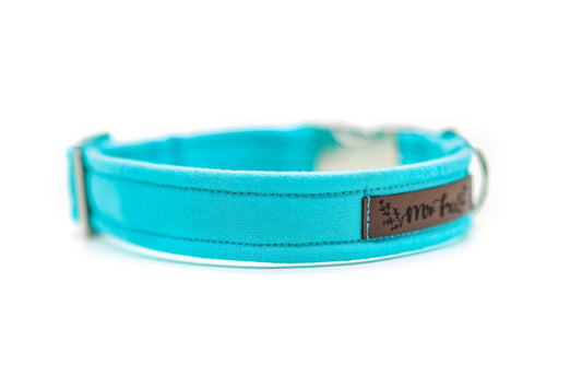 "Teal Uni" Halsband für Hunde - Mr. Fox Hundezubehör