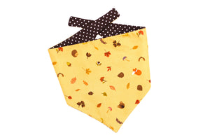 READY TO MAKE "Frisky Fall" dog bandana size XS