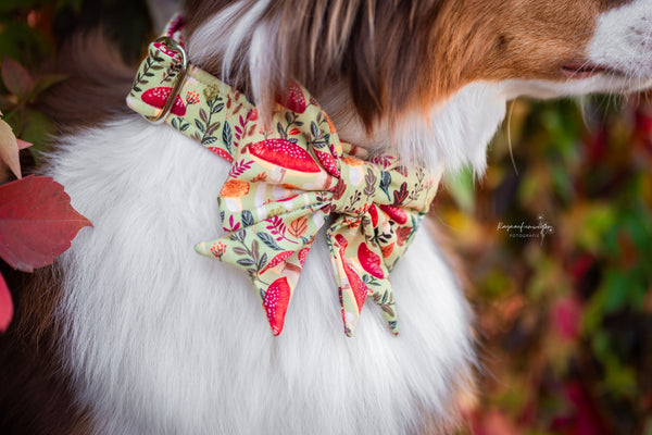 "Happy Harvest" sailor bow for dog collars