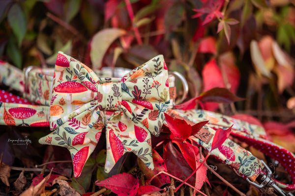 "Happy Harvest" dog leash