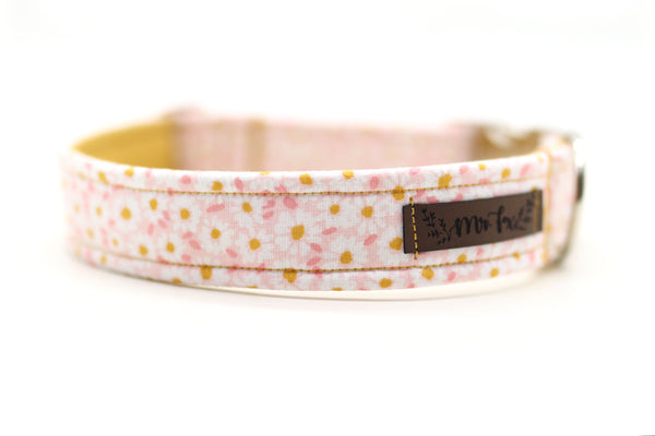 "Darling Daisy" collar for dogs