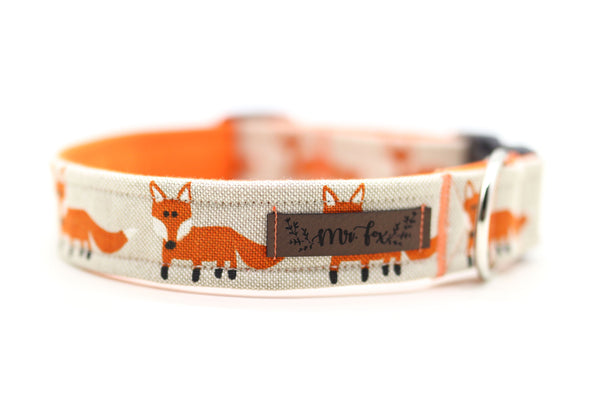 "Fox Festival" collar for dogs