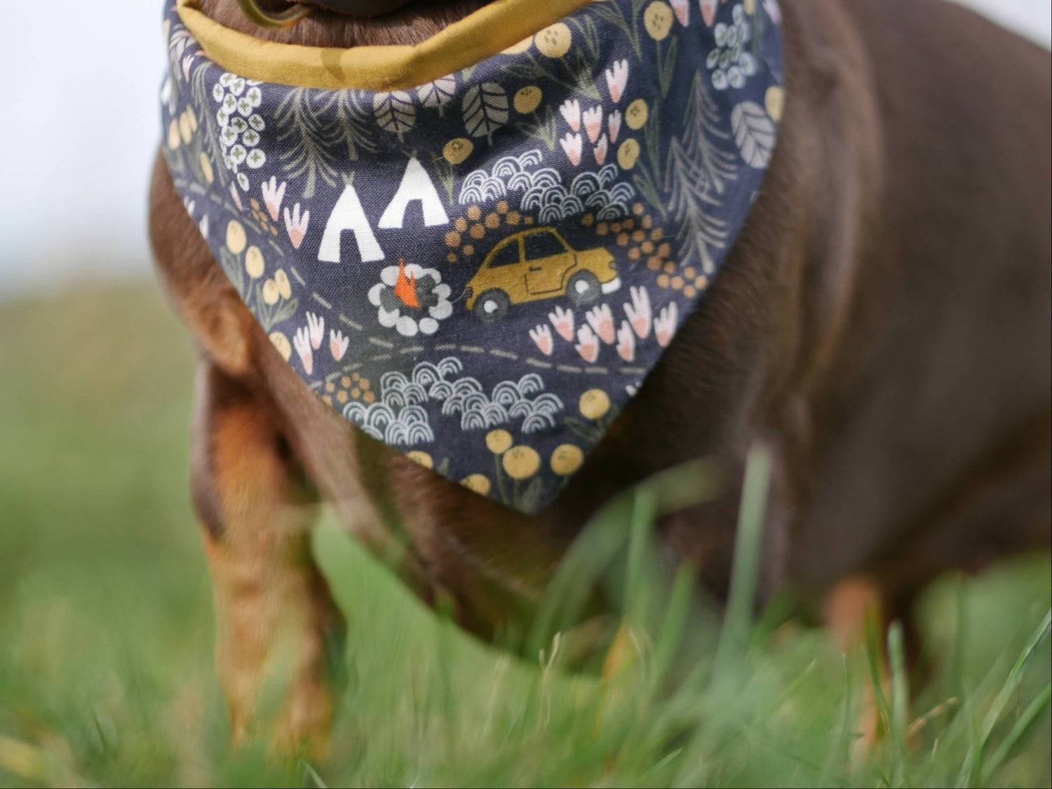 "Comfy Camping" Hundehalstuch - Mr. Fox Hundezubehör