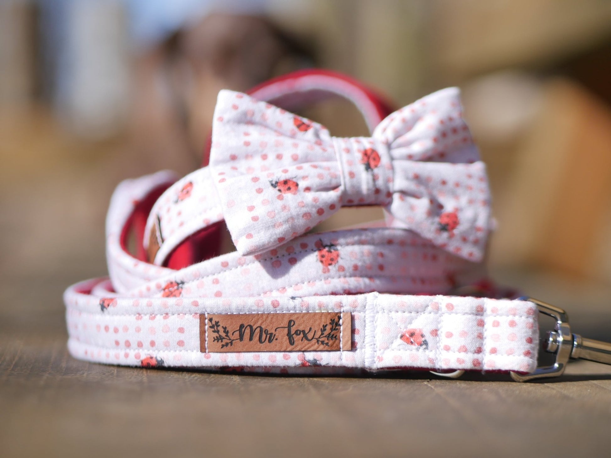 "Lucky Ladybugs" Halsband für Hunde - Mr. Fox Hundezubehör