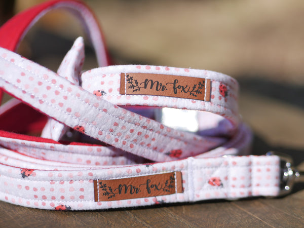 "Lucky Ladybugs" collar for dogs