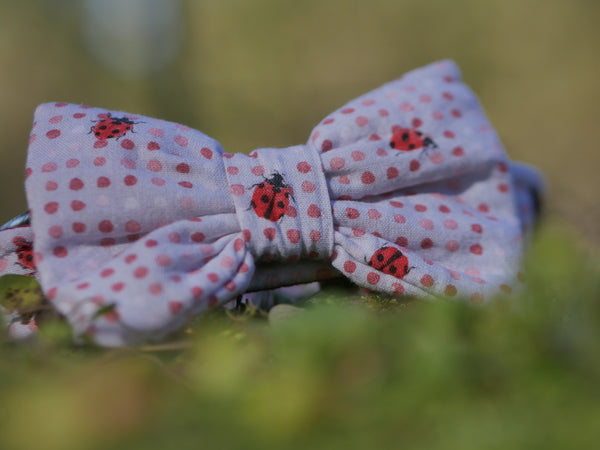 "Lucky Ladybugs" bow tie for dog collars