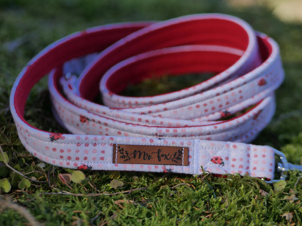 "Lucky Ladybugs" dog leash