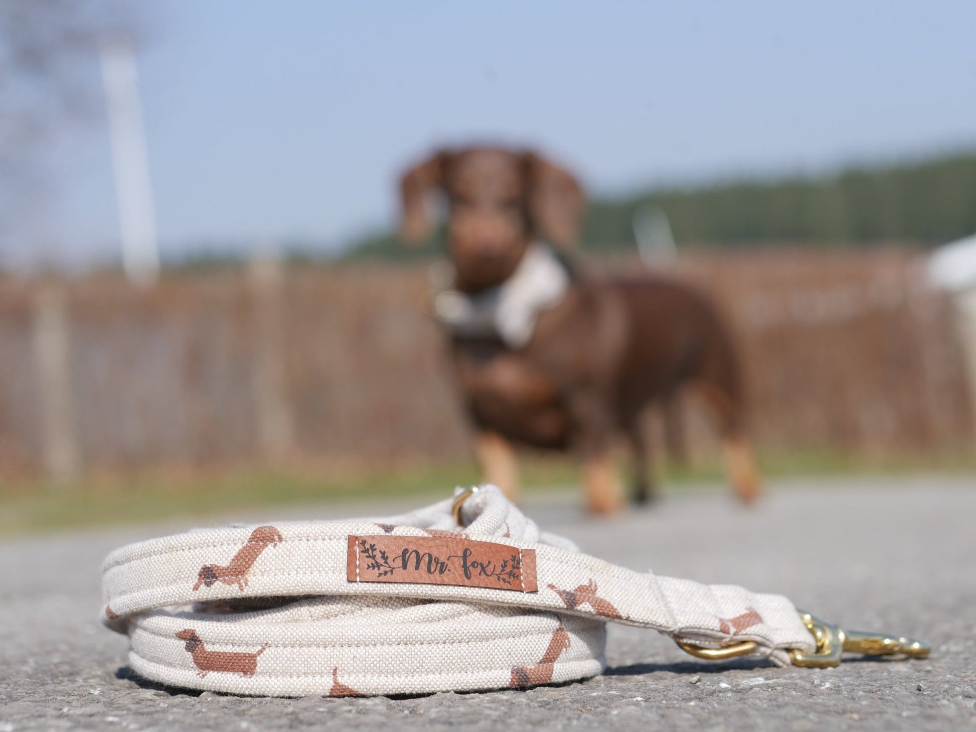 "Dashing Dachshunds" Hundeleine - Mr. Fox Hundezubehör