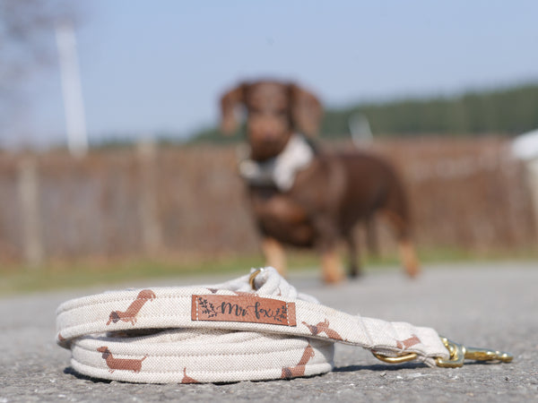 "Dashing Dachshunds" Hundeleine