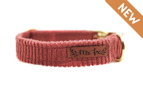 "Berry Cord" collar for dogs