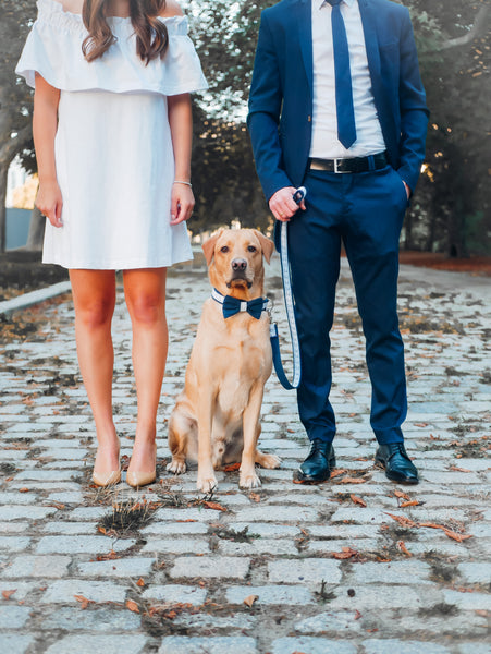 "Wedding Vibes" wedding dog leash (choice of colors)