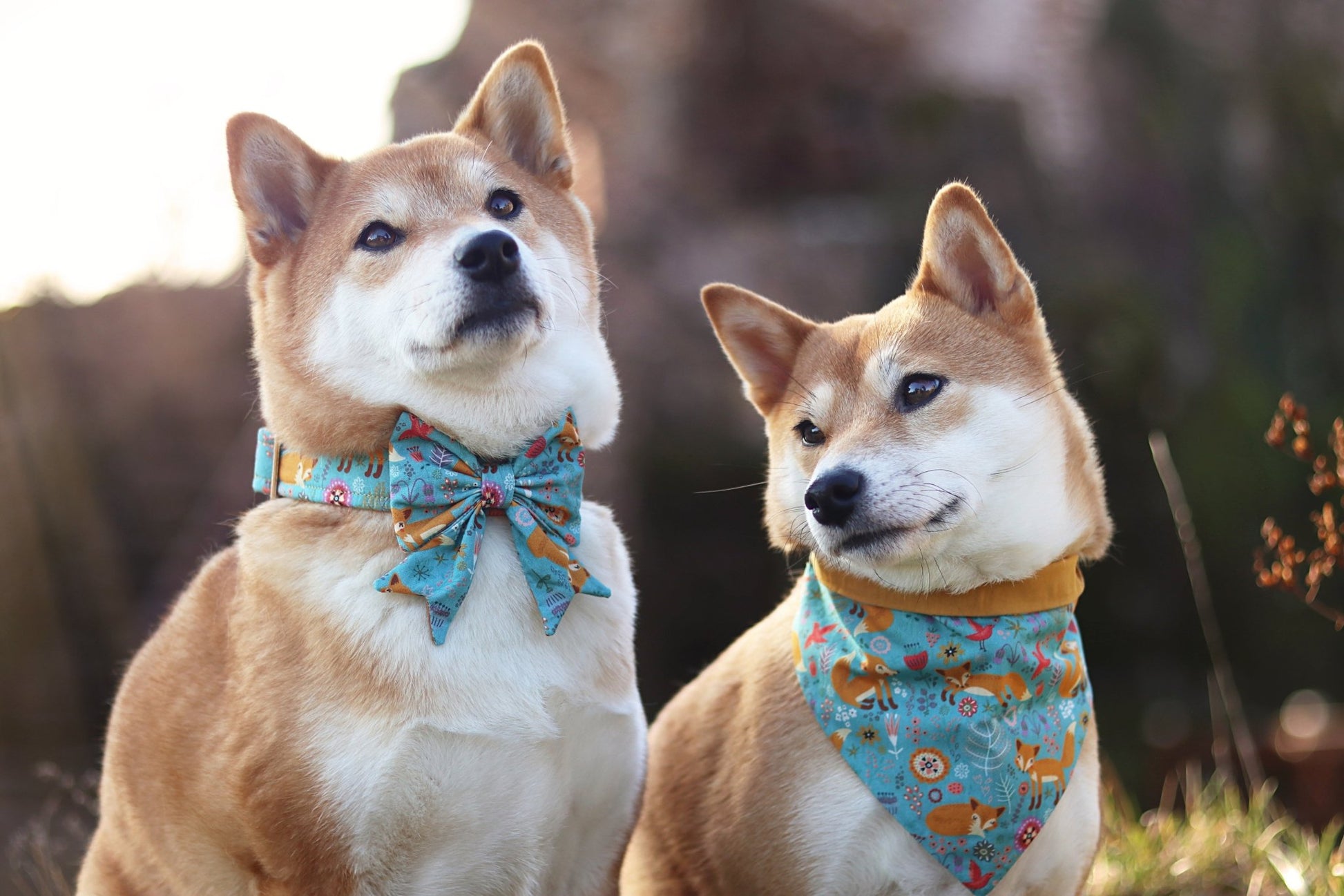 "Fox & Flowers" Schleife für Hundehalsbänder - Mr. Fox Hundezubehör