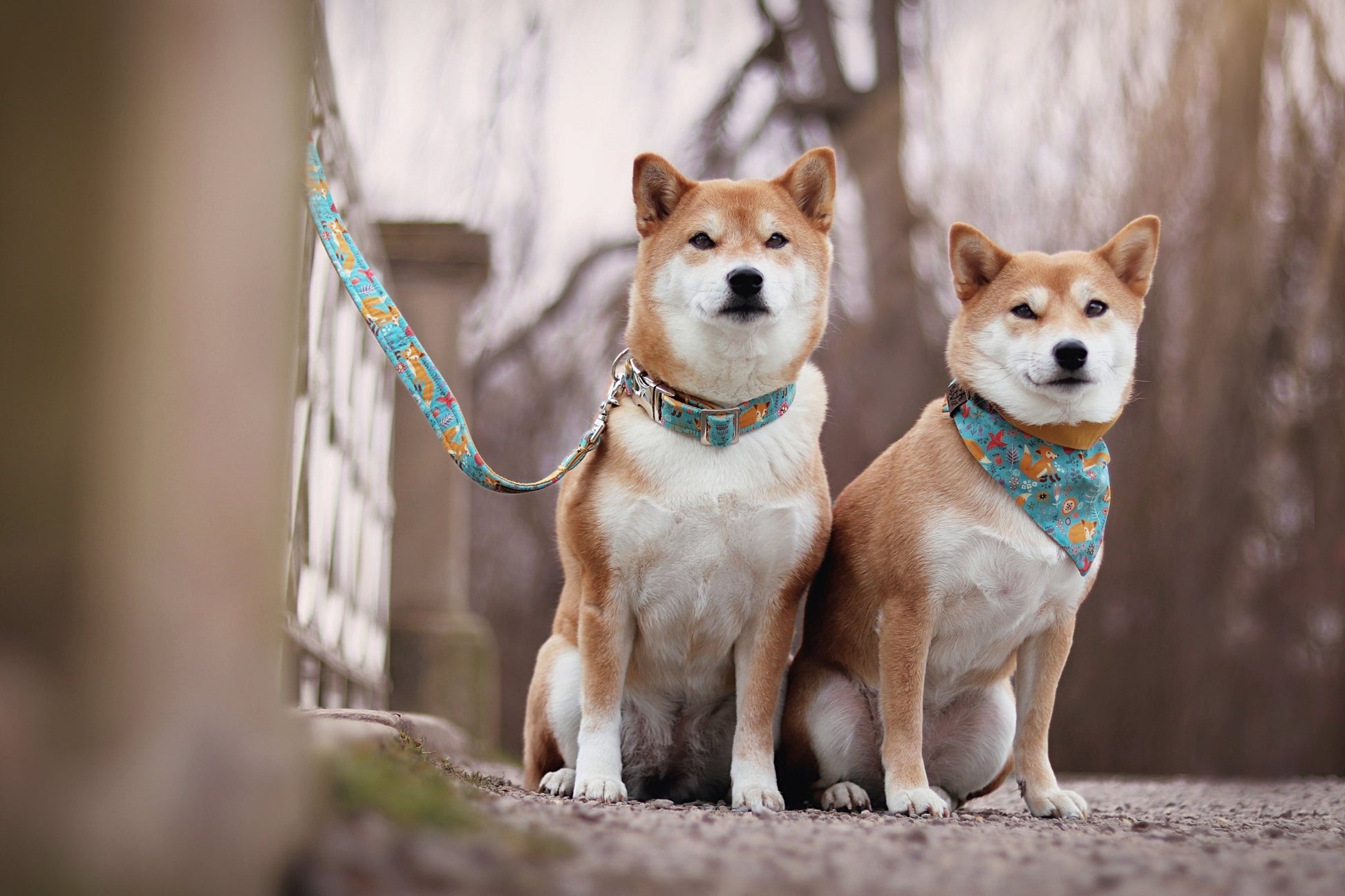 "Fox & Flowers" Halsband für Hunde - Mr. Fox Hundezubehör