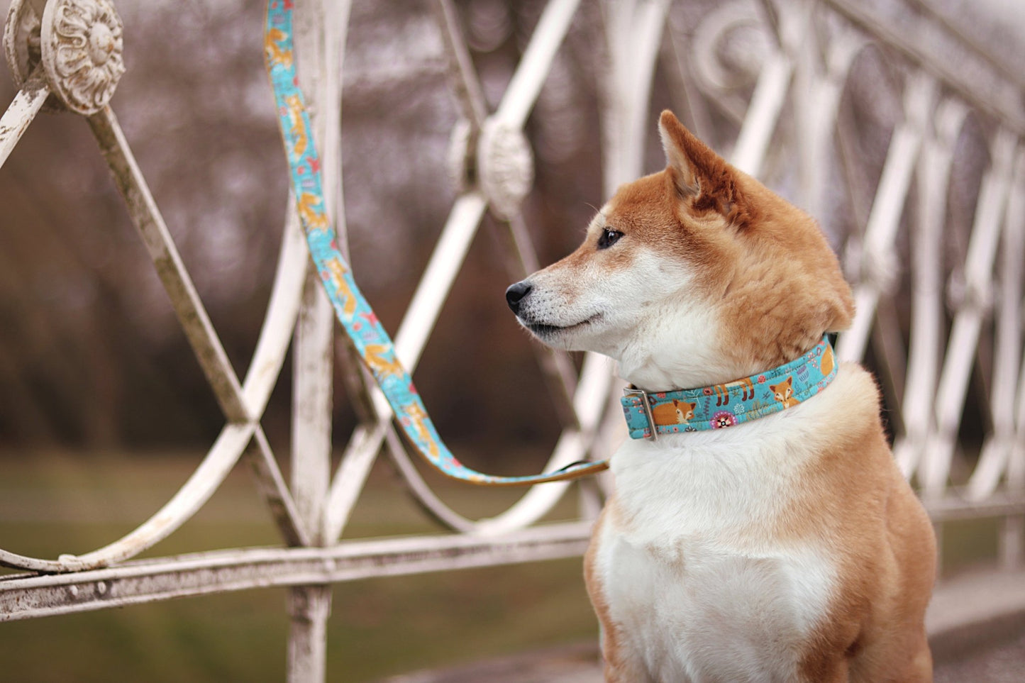 "Fox & Flowers" Halsband für Hunde - Mr. Fox Hundezubehör