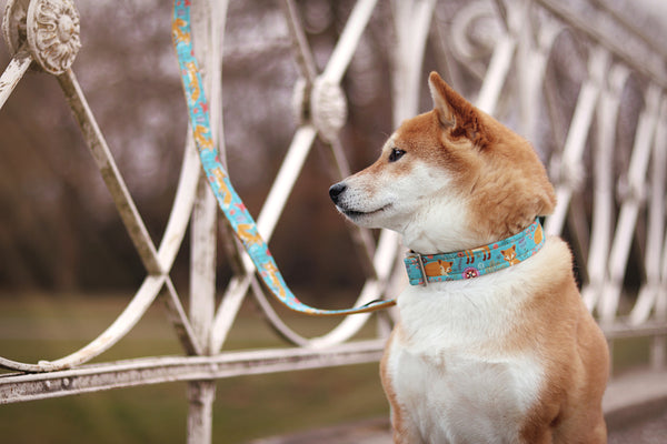 "Fox & Flowers" collar for dogs