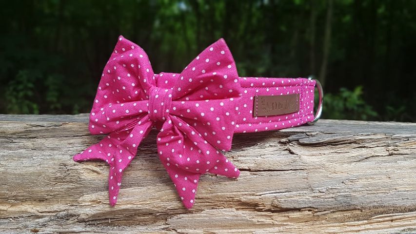 "Pink Polkadot" Schleife für Hundehalsbänder - Mr. Fox Hundezubehör