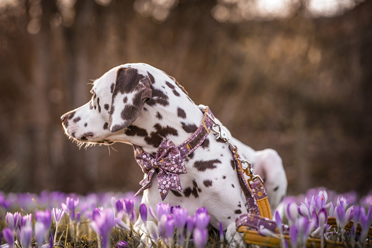 "Boho Bloom" Hundeleine - Mr. Fox Hundezubehör