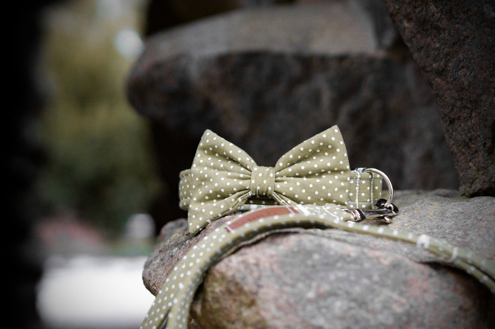 "Olive Polkadot" Halsband für Hunde - Mr. Fox Hundezubehör