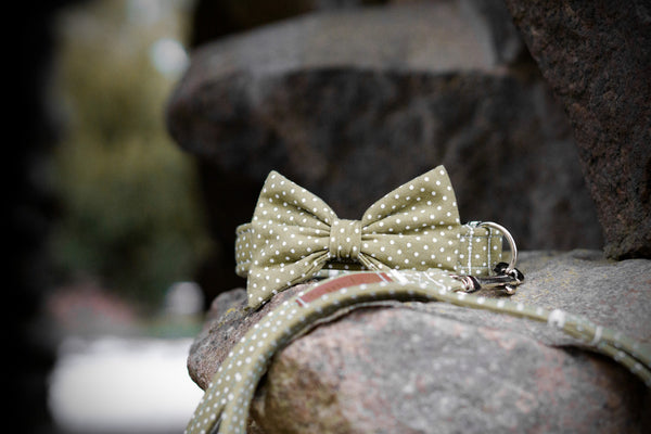 Polkadot Collection - OLIVE Bow Tie