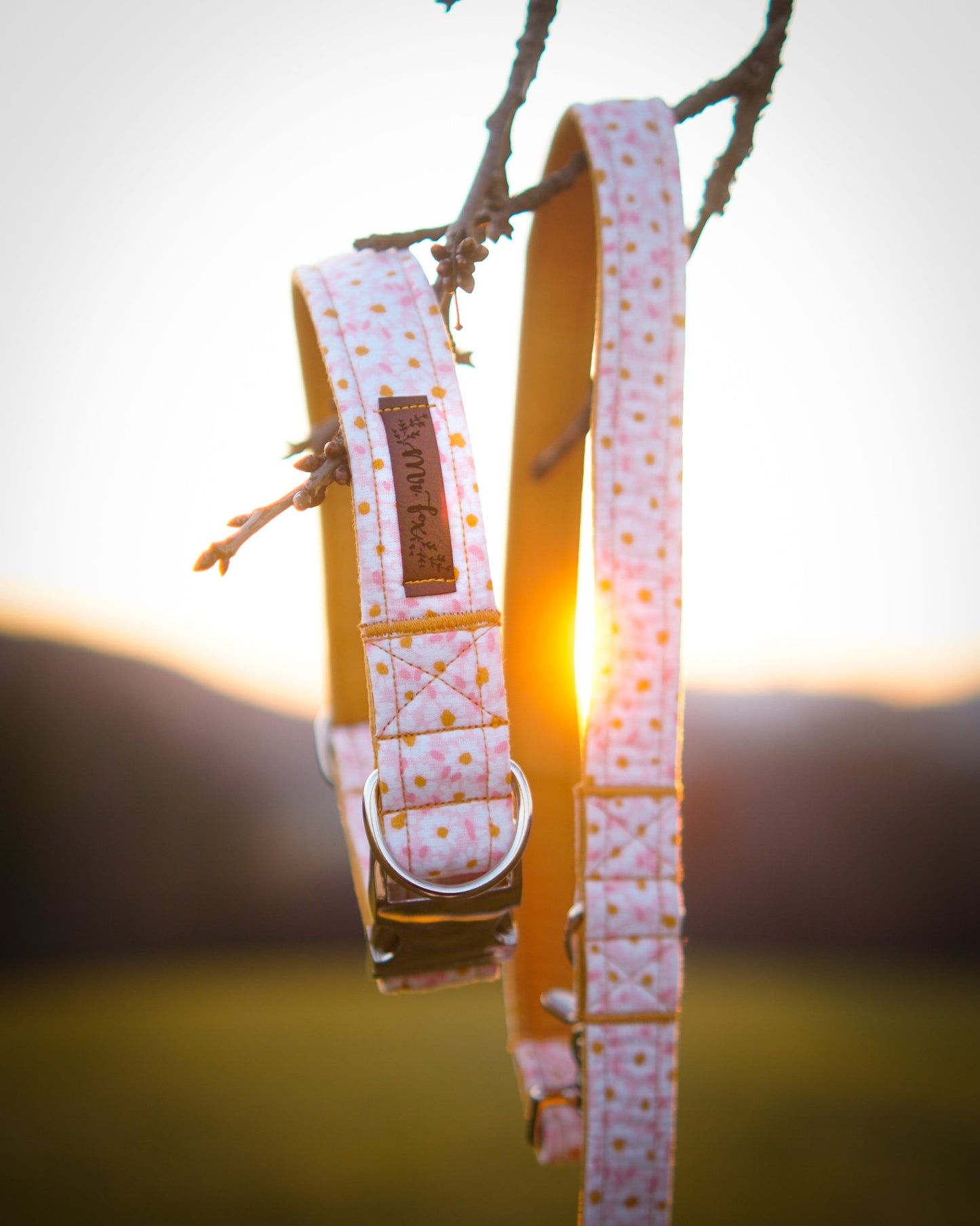 "Darling Daisy" Halsband für Hunde - Mr. Fox Hundezubehör