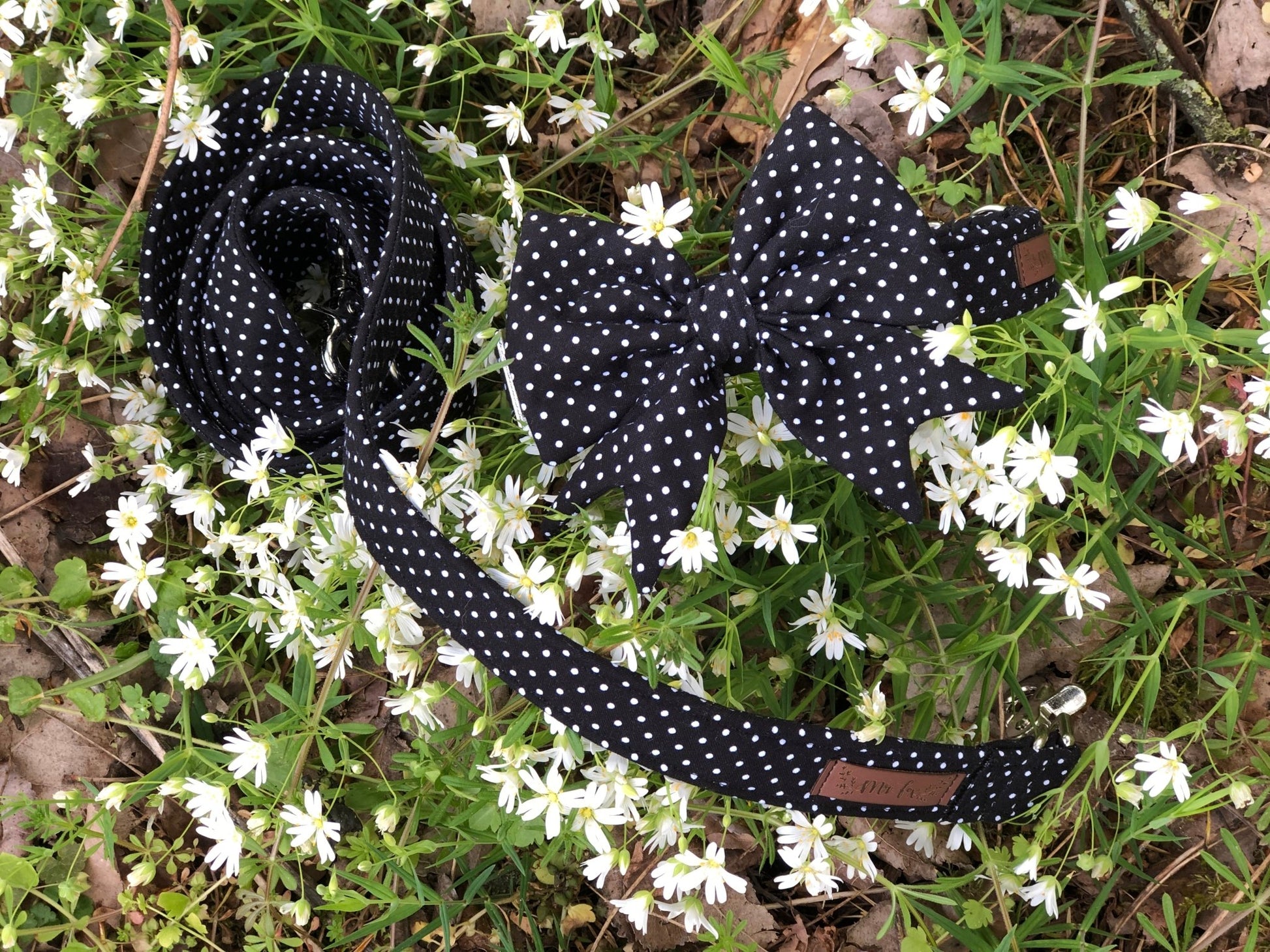 "Black Polkadot" Hundeleine - Mr. Fox Hundezubehör