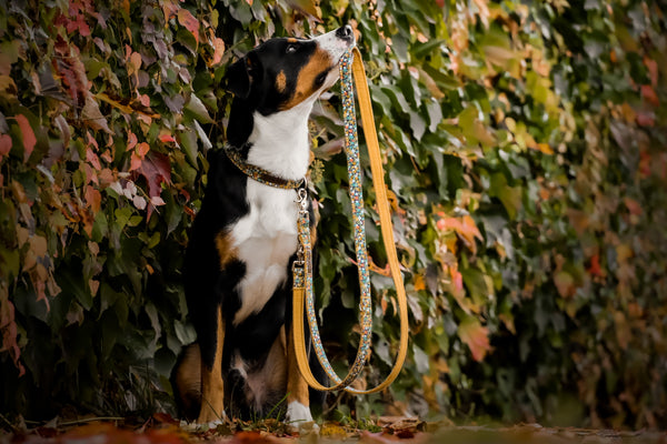 "Magical Marigolds" dog leash