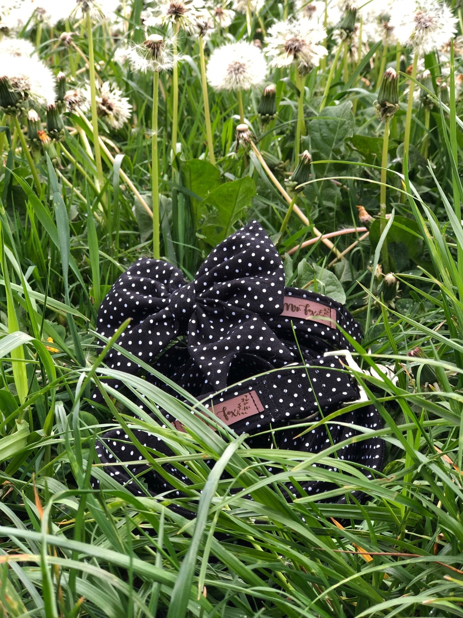 "Black Polkadot" Hundeleine - Mr. Fox Hundezubehör