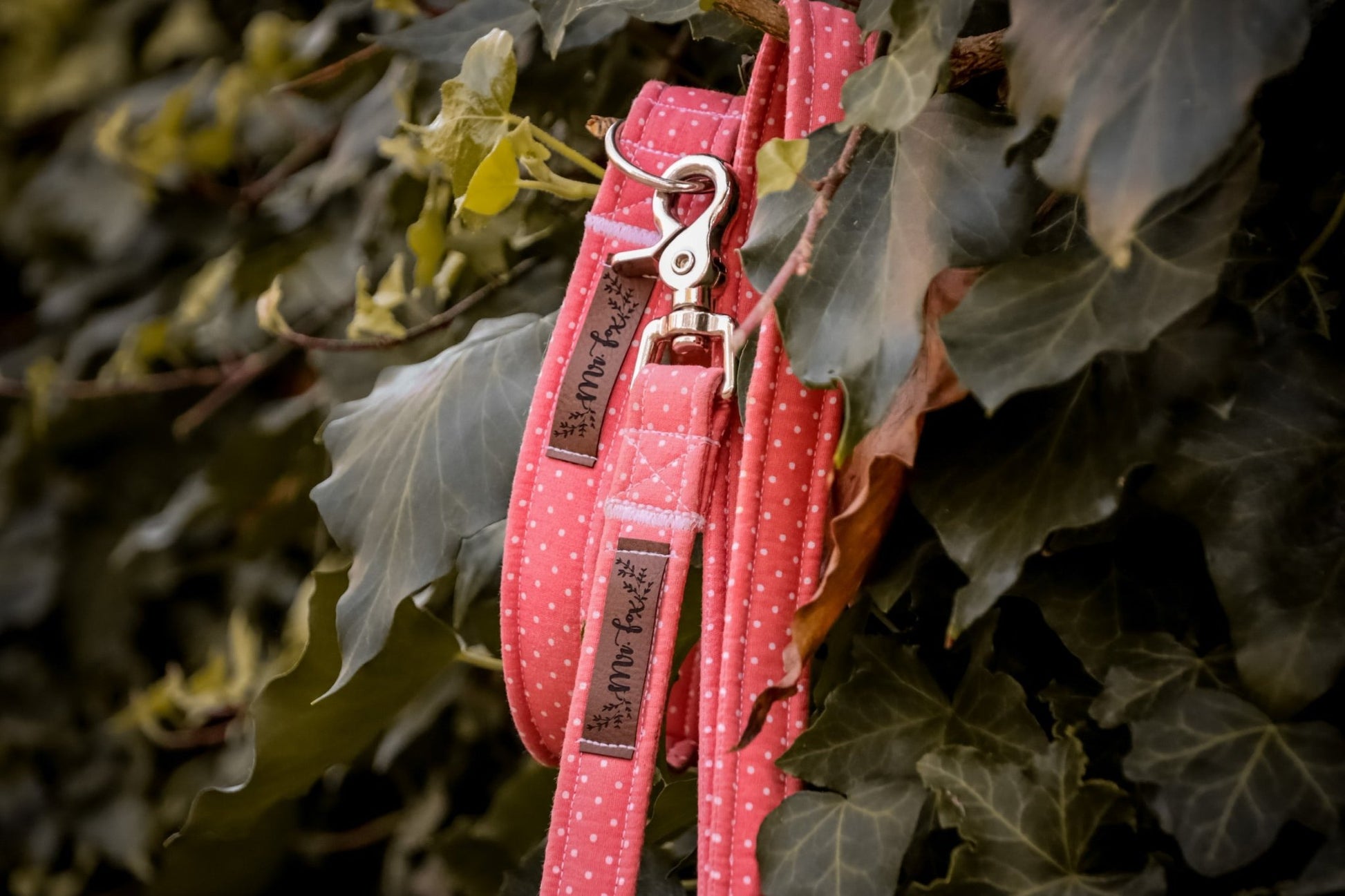 "Coral Polkadot" Halsband für Hunde - Mr. Fox Hundezubehör