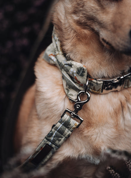 "Crocodile Crew" Halsband für Hunde